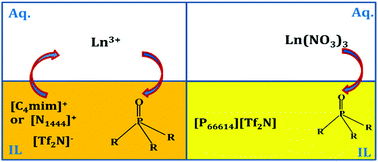 Graphical abstract: Influence of the ionic liquid cation on the solvent extraction of trivalent rare-earth ions by mixtures of Cyanex 923 and ionic liquids