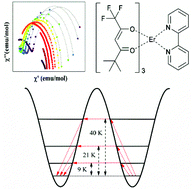 Graphical abstract: Slow magnetic relaxation mechanisms in erbium SIMs