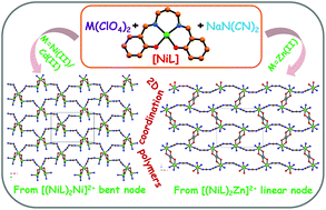 Graphical abstract: Influence of the central metal ion in controlling the self-assembly and magnetic properties of 2D coordination polymers derived from [(NiL)2M]2+ nodes (M = Ni, Zn and Cd) (H2L = salen-type di-Schiff base) and dicyanamide spacers
