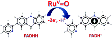 Graphical abstract: [RuV(NCN-Me)(bpy)( [[double bond, length as m-dash]] O)]3+ Mediates efficient C–H bond oxidation from NADH analogs in aqueous media rather than water oxidation