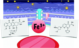 Graphical abstract: Iron(iii)-binding of the anticancer agents doxorubicin and vosaroxin