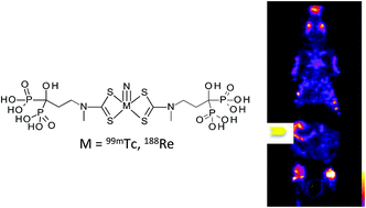 Graphical abstract: Technetium-99m and rhenium-188 complexes with one and two pendant bisphosphonate groups for imaging arterial calcification