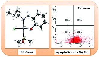 Graphical abstract: Synthesis and anticancer activities of a novel class of mono- and di-metallic Pt(ii)(salicylaldiminato)(DMSO or Picolino)Cl complexes