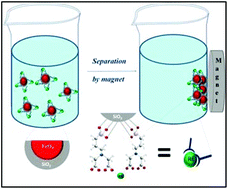 Graphical abstract: Molecular insights into the selective action of a magnetically removable complexone-grafted adsorbent