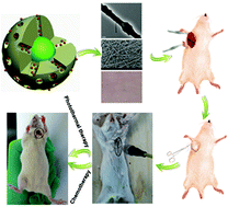 Graphical abstract: DOX-Cu9S5@mSiO2-PG composite fibers for orthotopic synergistic chemo- and photothermal tumor therapy