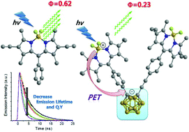 Graphical abstract: BODIPY functionalized o-carborane dyads for low-energy photosensitization