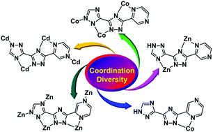 Graphical abstract: Structural diversity of five new bitriazole-based complexes: luminescence, sorption, and magnetic properties