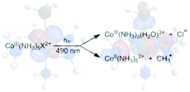 Graphical abstract: UV-visible spectroscopy of macrocyclic alkyl, nitrosyl and halide complexes of cobalt and rhodium. Experiment and calculation