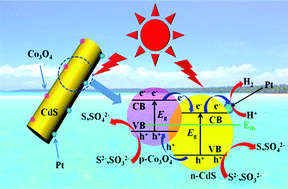 Graphical abstract: Amorphous Co3O4 modified CdS nanorods with enhanced visible-light photocatalytic H2-production activity