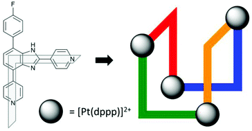 Graphical abstract: Assembly of a M4L4 “folded-cube” using a T-shaped, right-angled ligand