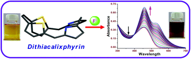 Graphical abstract: Synthesis and specific fluoride binding properties of expanded dithiacalixphyrins