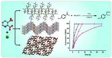 Graphical abstract: Sc2(pydc)2 unit based 1D, 2D and 3D metal–organic frameworks as heterogeneous Lewis acid catalysts for cyanosilylation