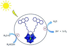 Graphical abstract: Harvesting visible light for aerobic oxidation of alcohols by a novel and efficient hybrid polyoxometalate