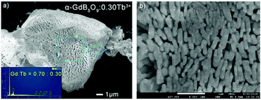 Graphical abstract: Sol–gel syntheses, luminescence, and energy transfer properties of α-GdB5O9:Ce3+/Tb3+ phosphors