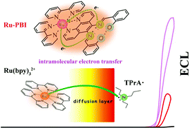 Graphical abstract: Self-enhanced electrogenerated chemiluminescence of ruthenium(ii) complexes conjugated with Schiff bases