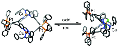 Graphical abstract: A heterometallic macrocycle as a redox-controlled molecular hinge