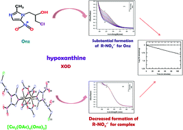 Graphical abstract: A study on the formation of the nitro radical anion by ornidazole and its significant decrease in a structurally characterized binuclear Cu(II)-complex: impact in biology