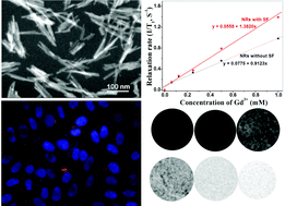 Graphical abstract: Facile preparation and bifunctional imaging of Eu-doped GdPO4 nanorods with MRI and cellular luminescence