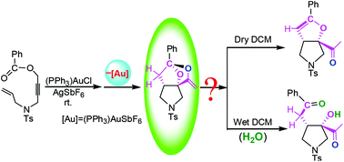 Graphical abstract: Mechanistic insight into water-modulated cycloisomerization of enynyl esters using an Au(i) catalyst