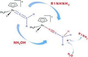 Graphical abstract: Reactivity of vinylidene complexes of ruthenium with hydrazines and hydroxylamines