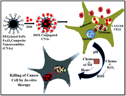 Graphical abstract: PEGylated FePt–Fe3O4 composite nanoassemblies (CNAs): in vitro hyperthermia, drug delivery and generation of reactive oxygen species (ROS)