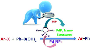 Graphical abstract: Palladium(ii)-1-phenylthio-2-arylchalcogenoethane complexes: palladium phosphide nano-peanut and ribbon formation controlled by chalcogen and Suzuki coupling activation