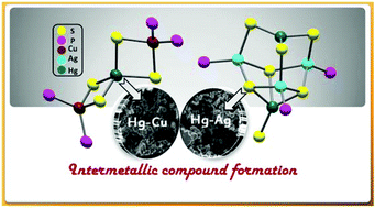 Graphical abstract: Geometrically unprecedented 3-, 5- and 7-membered Hg(ii)–Cu(i) and Hg(ii)–Ag(i) thiolate clusters: precursors to intermetallics