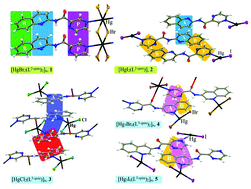Graphical abstract: Influence of N-heteroaromatic π–π stacking on supramolecular assembly and coordination geometry; effect of a single-atom change in the ligand