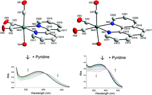 Graphical abstract: Activation of the manganese(i) tricarbonyl core by selective variation of bidentate ligands (L,L′-Bid = N,N′ and N,O donor atom sets) in fac-[Mn(CO)3(L,L′-Bid)(CH3OH)]n complexes