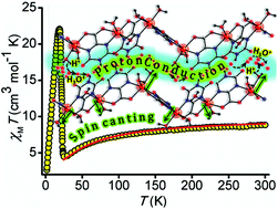 Graphical abstract: Concomitant spin-canted antiferromagnetic ordering and proton conduction in homometallic and homoleptic coordination polymers