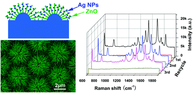 Graphical abstract: A highly sensitive and recyclable SERS substrate based on Ag-nanoparticle-decorated ZnO nanoflowers in ordered arrays