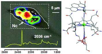 Graphical abstract: Synthesis, characterization and cellular location of cytotoxic constitutional organometallic isomers of rhenium delivered on a cyanocobalmin scaffold
