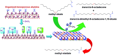 Graphical abstract: Synthesis, characterization and insights into stable and well organized hexagonal mesoporous zinc-doped alumina as promising metathesis catalysts carrier