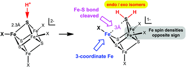 Graphical abstract: Protonation of bridging sulfur in cubanoid Fe4S4 clusters causes large geometric changes: the theory of geometric and electronic structure.