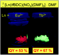 Graphical abstract: Bright luminescence in lanthanide coordination polymers with tetrafluoroterephthalate as a bridging ligand