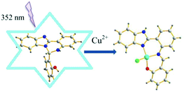 Graphical abstract: Metal ion-assisted ring-opening of a quinazoline-based chemosensor: detection of copper(ii) in aqueous media