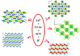 Graphical abstract: New 1-D and 3-D thiocyanatocadmates modified by various amine molecules and Cl−/CH3COO− ions: synthesis, structural characterization, thermal behavior and photoluminescence properties