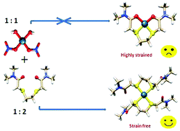 Graphical abstract: Synthesis, structural and theoretical studies of dithiodiglycolamide compounds of palladium(ii)