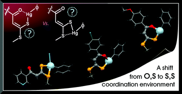 Graphical abstract: Influence of the ligand frameworks on the coordination environment and properties of new phenylmercury(ii) β-oxodithioester complexes