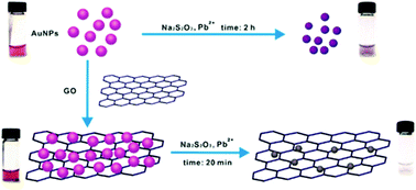 Graphical abstract: A label-free colorimetric sensor for Pb2+ detection based on the acceleration of gold leaching by graphene oxide