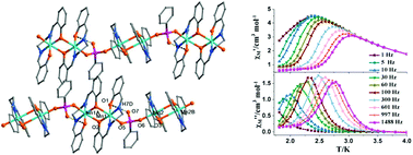 Graphical abstract: The O–P–O bridged Mn2(salen)2 chains showing coexistence of single chain magnet and metamagnet behaviour