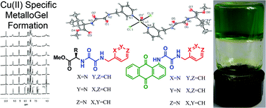 Graphical abstract: Cu(ii)-specific metallogel formation by an amido-anthraquinone-pyridyloxalamide ligand in DMSO–water