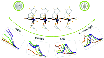 Graphical abstract: Field and dilution effects on the magnetic relaxation behaviours of a 1D dysprosium(iii)-carboxylate chain built from chiral ligands