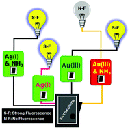 Graphical abstract: Imine (–CH [[double bond, length as m-dash]] N–) brings selectivity for silver enhanced fluorescence