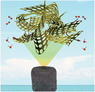 Graphical abstract: Functional graphene nanomesh foam