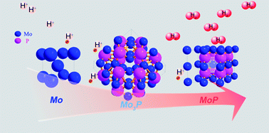 Graphical abstract: Molybdenum phosphide as an efficient electrocatalyst for the hydrogen evolution reaction