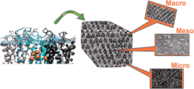 Graphical abstract: Hierarchically porous carbon derived from polymers and biomass: effect of interconnected pores on energy applications