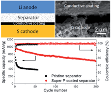 Graphical abstract: Improved lithium–sulfur batteries with a conductive coating on the separator to prevent the accumulation of inactive S-related species at the cathode–separator interface