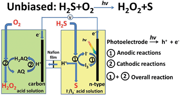 Graphical abstract: Selective production of hydrogen peroxide and oxidation of hydrogen sulfide in an unbiased solar photoelectrochemical cell
