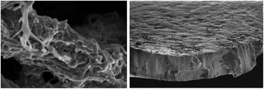 Graphical abstract: Bioelectrodes modified with chitosan for long-term energy supply from the body